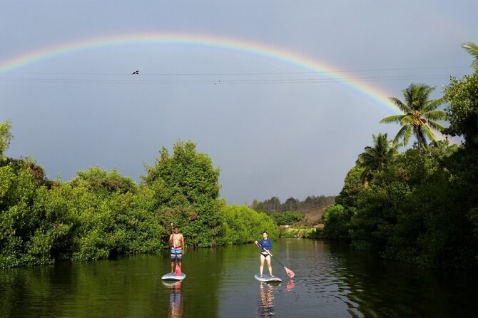 Northshore ocean adventure and circle islandJeep Tour- Guaranteed to see turtles - Makapu‘u Point and Nuuanu Pali Lookout: two viewpoints, one big skyline