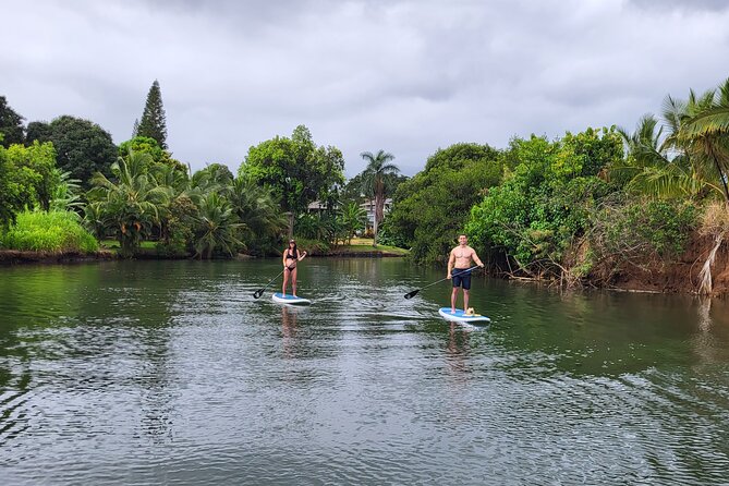 Northshore ocean adventure and circle islandJeep Tour- Guaranteed to see turtles - Laie Point and Kahuku: rocky coastline, native species, and guaranteed turtle time