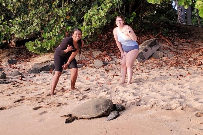 Northshore ocean adventure and circle islandJeep Tour- Guaranteed to see turtles - Who should book this Jeep-and-ocean combo?
