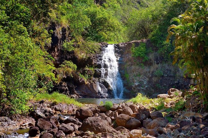 Northshore ocean adventure and circle islandJeep Tour- Guaranteed to see turtles - Waimea Valley: terraces, monarchy-era stones, and a waterfall-style payoff