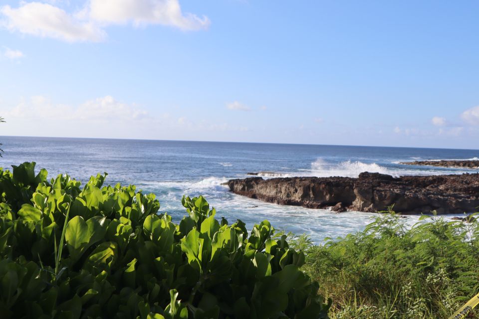 Oahu: Active Circle Island Tour - The Guide Factor: Why Shane Ogitani Changes the Day