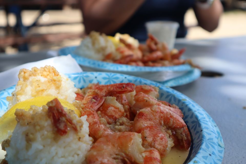 Oahu: Active Circle Island Tour - Price and What Makes $157 Actually Feel Like Value