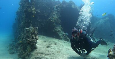 Oahu: Beginner SCUBA Dive at Electric Beach - The meeting point and logistics you should actually plan for