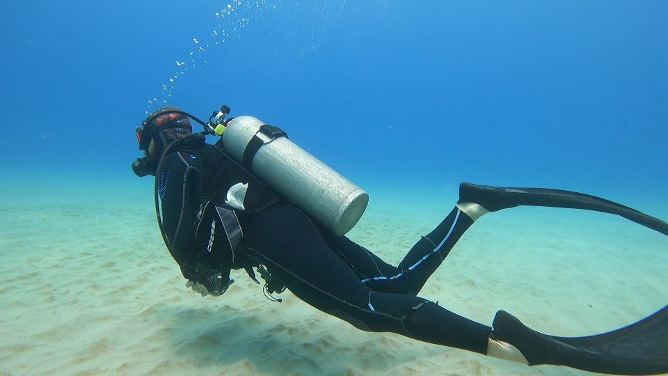 Oahu: Beginner SCUBA Dive at Electric Beach - The reef swim with a guide: what you might see