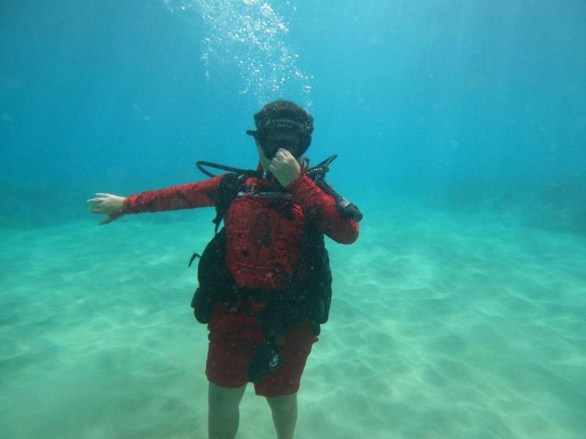 Oahu: Beginner SCUBA Dive at Electric Beach - Photo package: getting proof without bringing a camera