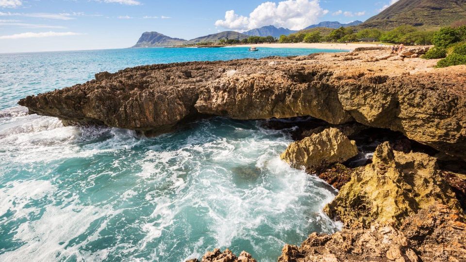 Oahu Circle Island Tour - Best Spots & Beaches - North Shore waves and the Kahuku lunch break: plan for food variation