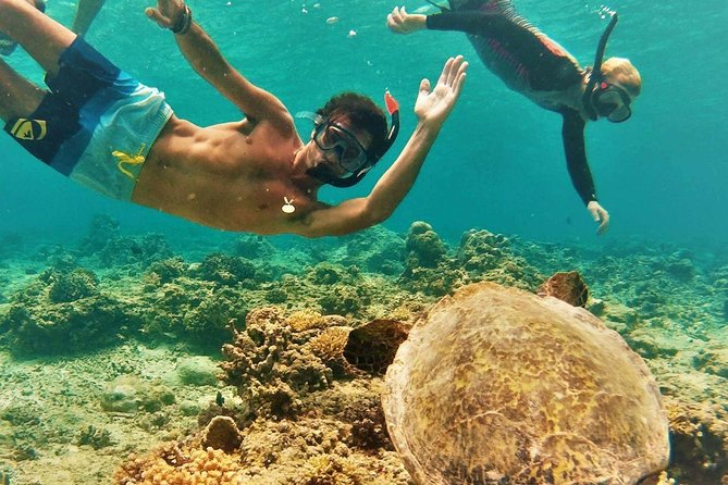 Oahu Circle Island Tour with Turtle Snorkeling, Small-Groups - A Better Oahu “Circle” When You Want Motion and Variety