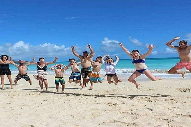 Oahu Circle Island Tour with Turtle Snorkeling, Small-Groups - Macadamia Nut Farm and Kona Coffee Tasting: Small Things That Make the Day Fun