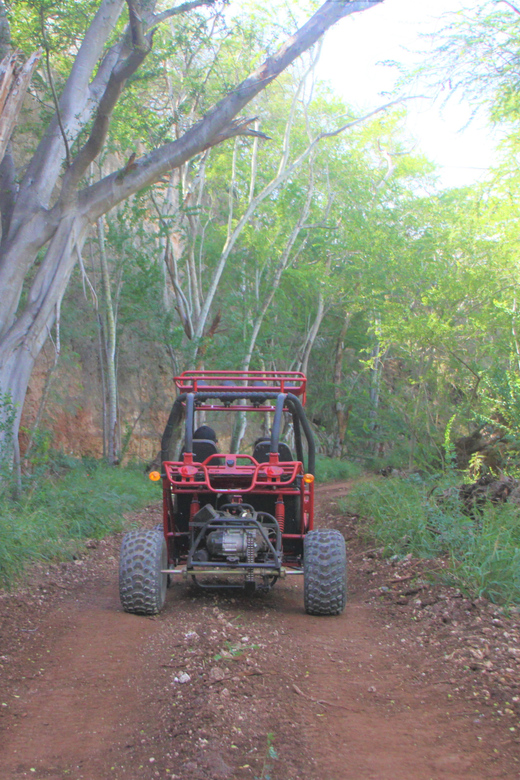 Oahu: Coral Crater Zipline and Offroad ATV Adventure - Price and what you’re really paying for (it’s not just the zipline)