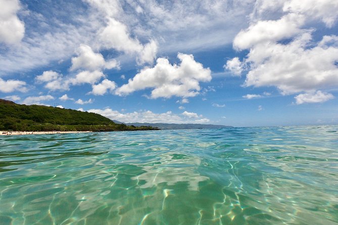 Oahu Custom Private Circle Island and Mini Circle Island Tours - Halona Blowhole and Nu’uanu Pali: Dramatic Views for Short Stops