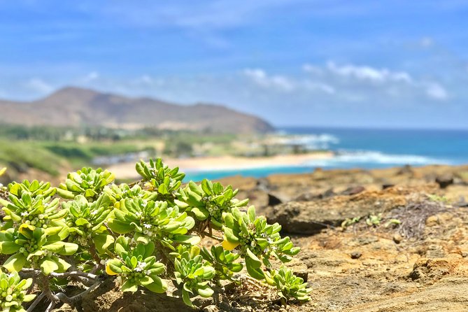 Oahu Custom Private Circle Island and Mini Circle Island Tours - South Shore Start: Volcanic Cone Views, Snorkel Potential, and Classic Film Lore