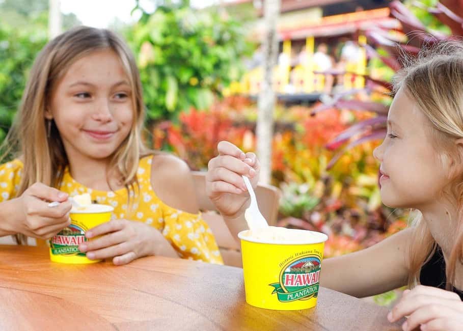 Oahu: Dole Plantation & Haleiwa Express Deluxe Tour - Key Things to Know Before You Go
