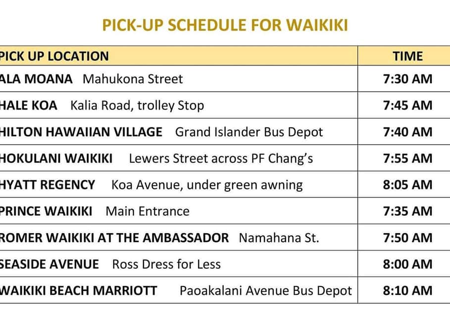 Oahu: Dole Plantation & Haleiwa Express Deluxe Tour - Price and Value Check: Is $100 a Smart Spend?