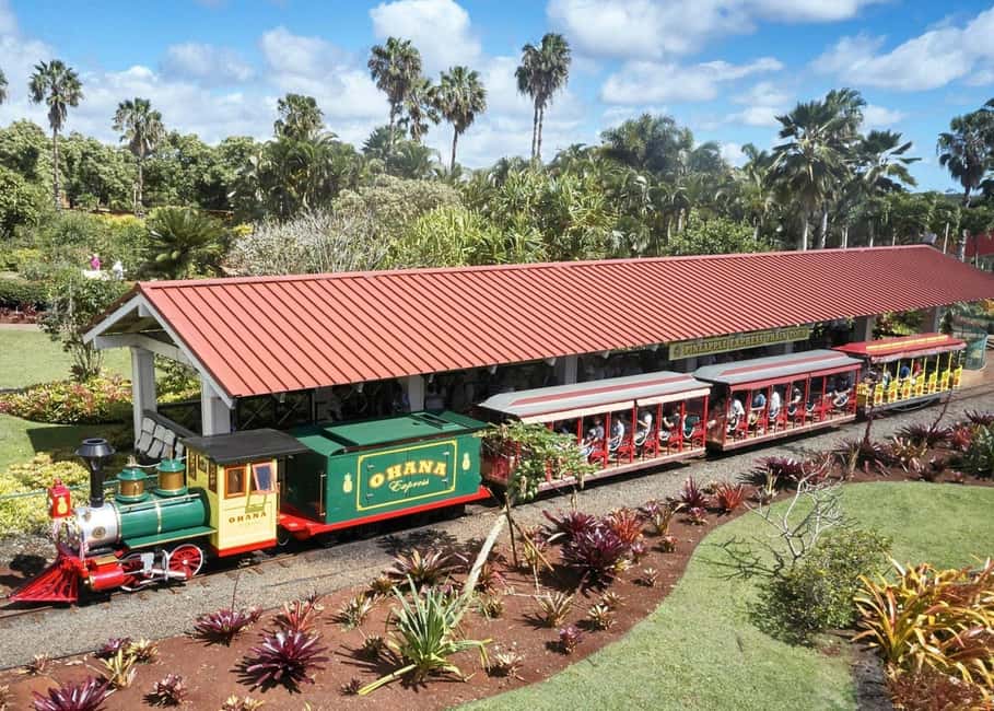 Oahu: Dole Plantation & Haleiwa Express Deluxe Tour - Should You Book This Tour?