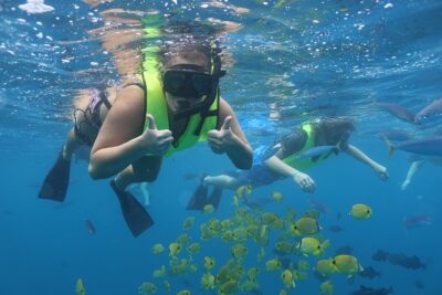 Oahu Dolphin and Snorkel Tour with Waikiki Pickup & Lunch - Getting to Waiʻanae Small Boat Harbor: the early start you actually need