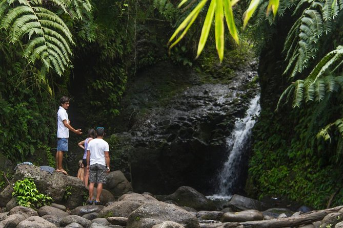 Oahu friendly hiking experience - Key highlights worth knowing before you go