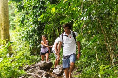 Oahu friendly hiking experience - Manoa Falls: waterfall sights with a short, satisfying payoff