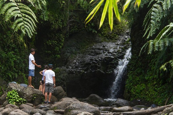 Oahu friendly hiking experience - Diamond Head + Makapuu Point Lighthouse: Honolulu views plus a shoreline wildlife bonus