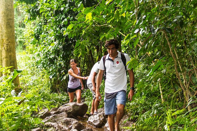 Oahu friendly hiking experience - Manoa Falls: waterfall sights with a short, satisfying payoff