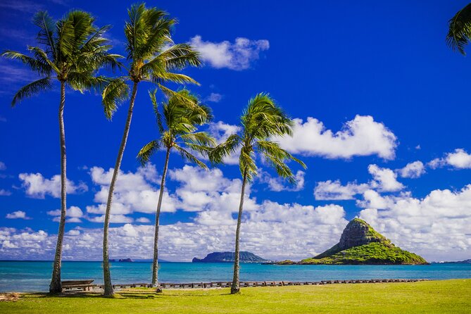 Oahu: Grand Tour Around Island 16 Locations plus Snorkeling - Pickup, mobile tickets, and where the bus can’t stop