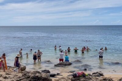 Oahu Guided Circle Island Tour, Swim w/ Turtles, Dole, Blowhole - Morning in Waikiki: pickup, road trip rhythm, and the vibe check