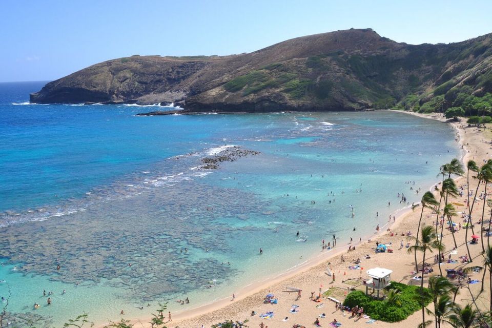 Oahu: Guided Tour of North Shore and Waimea Botanical Garden - Shared vs private tour: choosing your comfort level