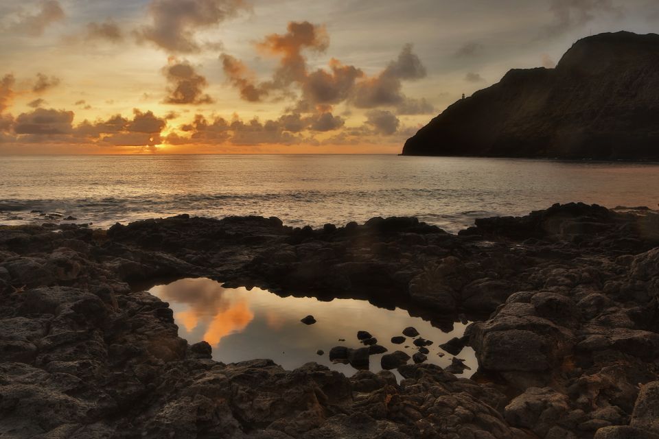 Oahu: Half-Day Sunrise Semi-private Tour from Waikiki - Bamboo Forests, Ancient Trees, and a White Sand Beach Stop