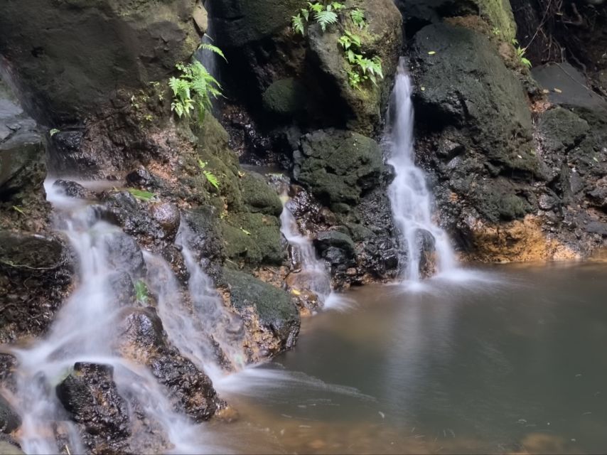 Oahu: Half-Day Sunrise Semi-private Tour from Waikiki - Coffeehouse Breakfast Option (Not Included)