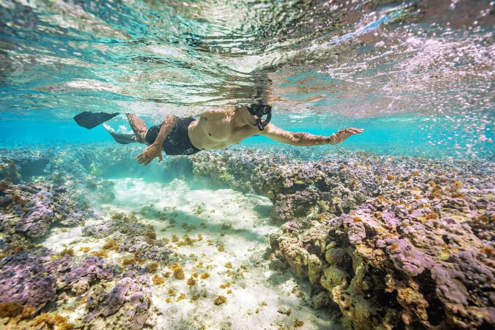 Oahu : Hanauma Bay Reservation+Equipment Rental - Waikiki Beach Marriott Check-In: Where You Start Your Day