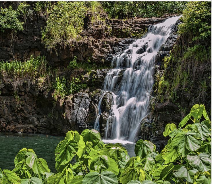 Oahu Hidden Gems & Waimea Botanical Garden/Waterfall tour - Key highlights at a glance