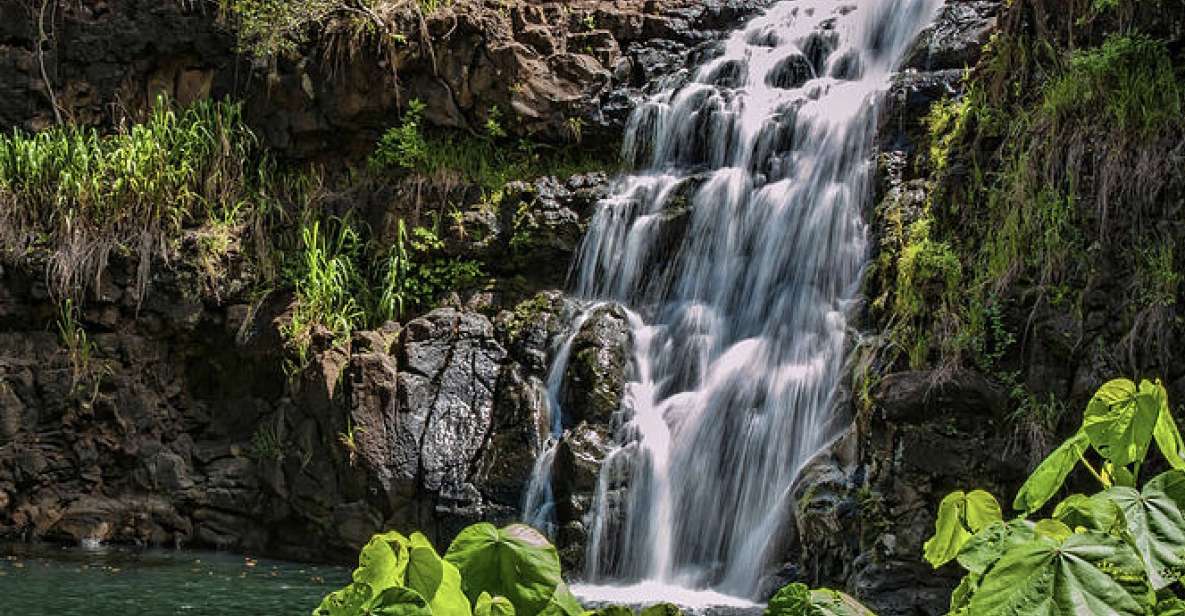 Oahu Hidden Gems & Waimea Botanical Garden/Waterfall tour - The waterfall swim: lifeguards, life jackets, and real-world conditions