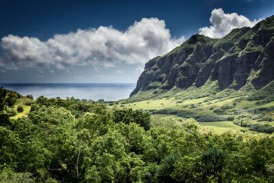 Oahu Hidden Gems & Waimea Botanical Garden/Waterfall tour - Waimea Valley botanical gardens: the part you’ll remember