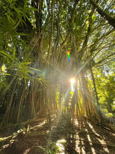 Oahu: Hidden Hawaii Waterfall Hike and Beach Tour - A smart 4-hour combo on Oahu (waterfall first, beach last)