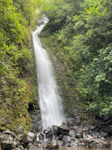 Oahu: Hidden Hawaii Waterfall Hike and Beach Tour - Lulumahu Falls hike: jungle walk, viewpoint stop, and swim potential