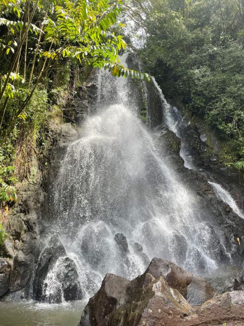 Oahu: Hidden Hawaii Waterfall Hike and Beach Tour - Small group of 7: why this feels more personal