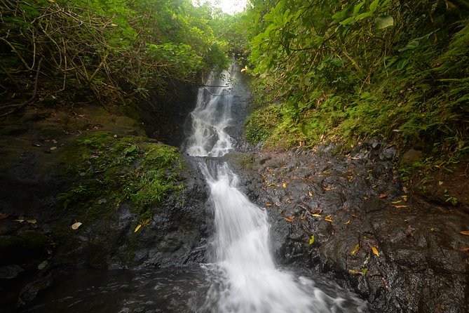 Oahu Hidden Waterfall Hike: A Tropical Paradise Adventure - Key points to know before you go