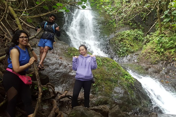 Oahu Hidden Waterfall Hike: A Tropical Paradise Adventure - Why this Likeke Falls hike feels worth the time