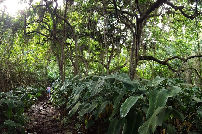 Oahu Hidden Waterfall Hike: A Tropical Paradise Adventure - The hike style: mild to moderate, but not casual