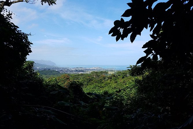Oahu Hidden Waterfall Hike: A Tropical Paradise Adventure - Group size and the private feel