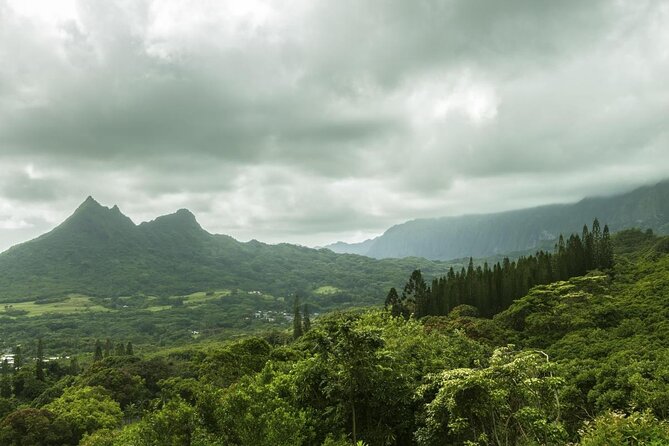 O‘ahu Highlights Private Guided Tour: Landmarks & Architecture - Key reasons this private tour works