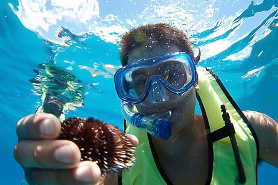 Oahu: Hilton Hawaiian Village Snorkel Tour - Key Highlights That Matter