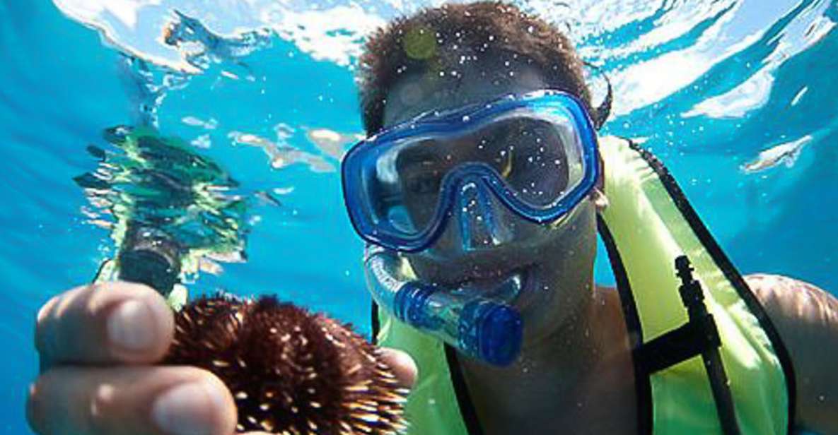 Oahu: Hilton Hawaiian Village Snorkel Tour - The 2.5-Hour Rhythm: How Your Time Gets Used