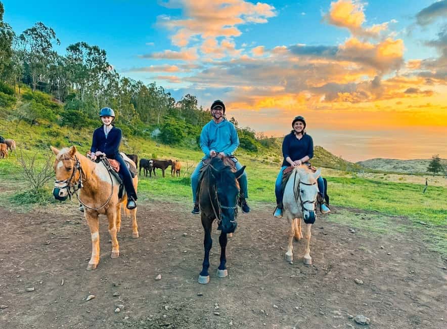 Oahu: Horseback Riding Sunshine or Sunset Tour - Working polo ponies: comfort for first-timers and thrill for horse lovers