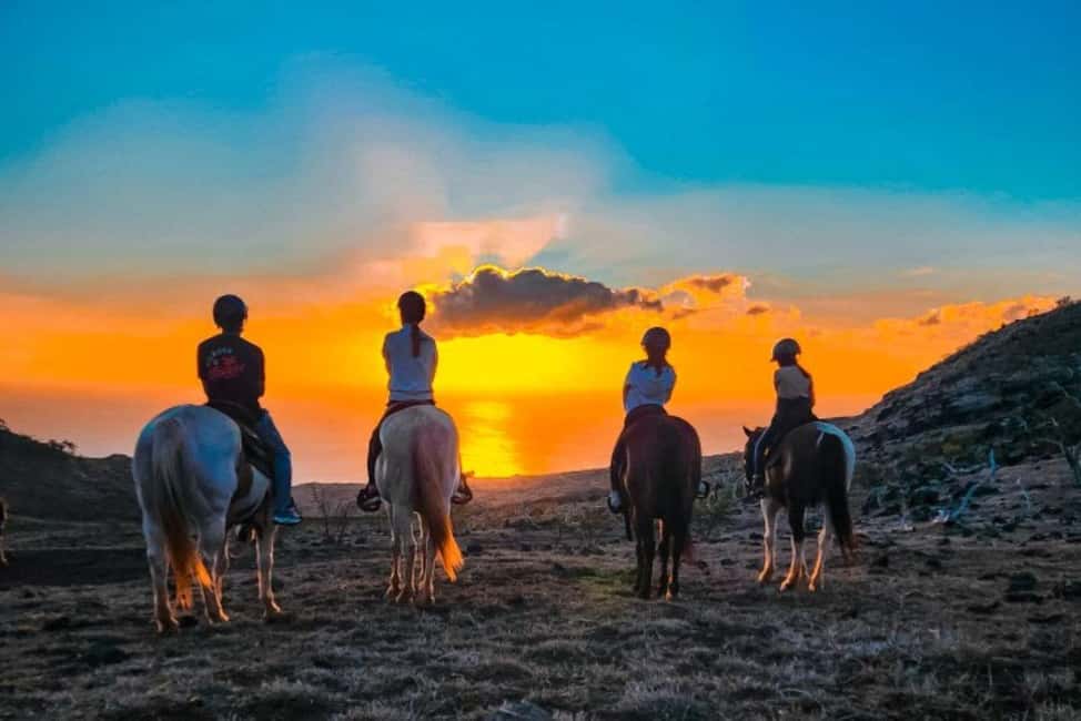 Oahu: Horseback Riding Sunshine or Sunset Tour - Southern and western coastline views: why this route is camera-worthy