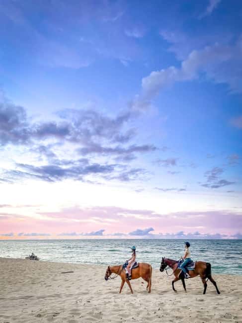 Oahu: Horseback Riding Tour on the North Shore - Key points before you book