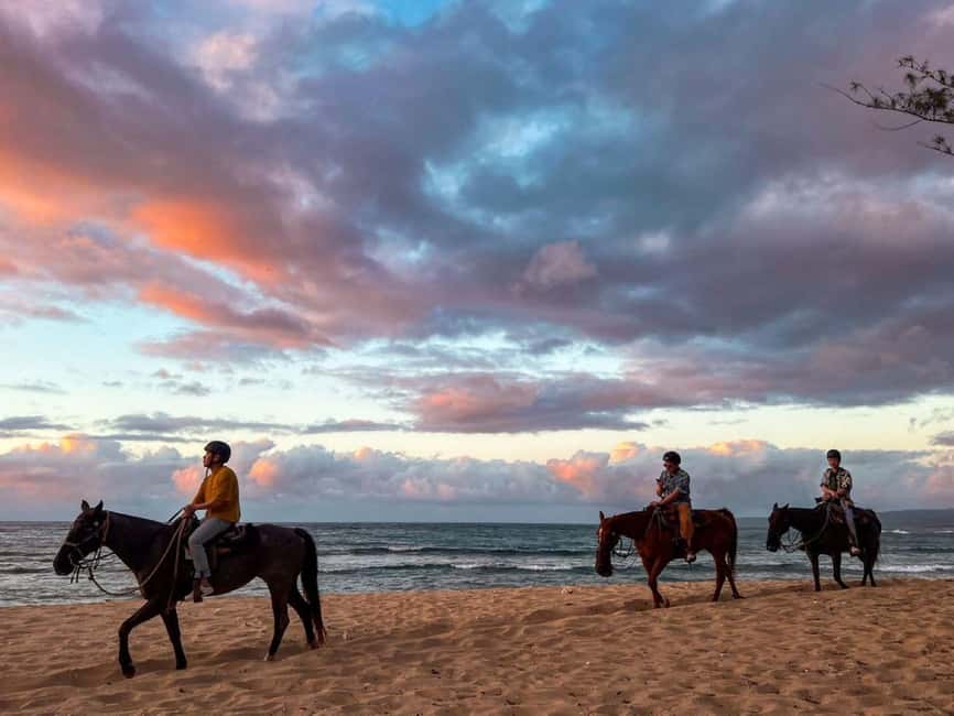 Oahu: Horseback Riding Tour on the North Shore - Meet at the stables: horse matching, helmets, and the safety demo