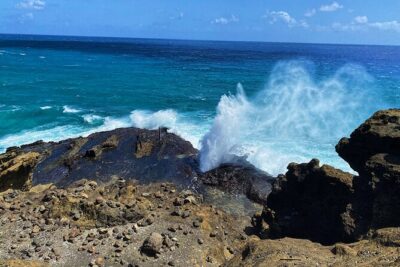 Oahu Island Experience feat the North Shore (Small Group Tour) - Halona Blowhole + Halona Cove: Fast, Scenic, and Very Oahu