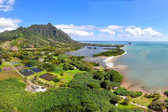 Oahu Island Full-Day Sightseeing Tour - Halona Blowhole and Makapuu Point: when the ocean does the work