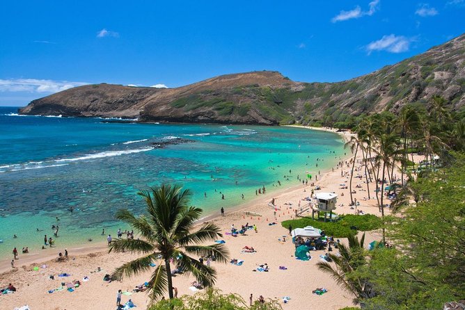 Oahu Island Full-Day Sightseeing Tour - Haleiwa Town Center and Sunset Beach: walk, eat, and reset