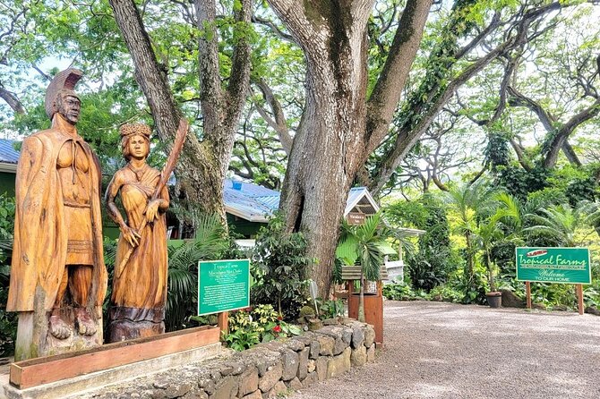 Oahu Island Sightseeing and Food Combo Tour - Key highlights to know before you go